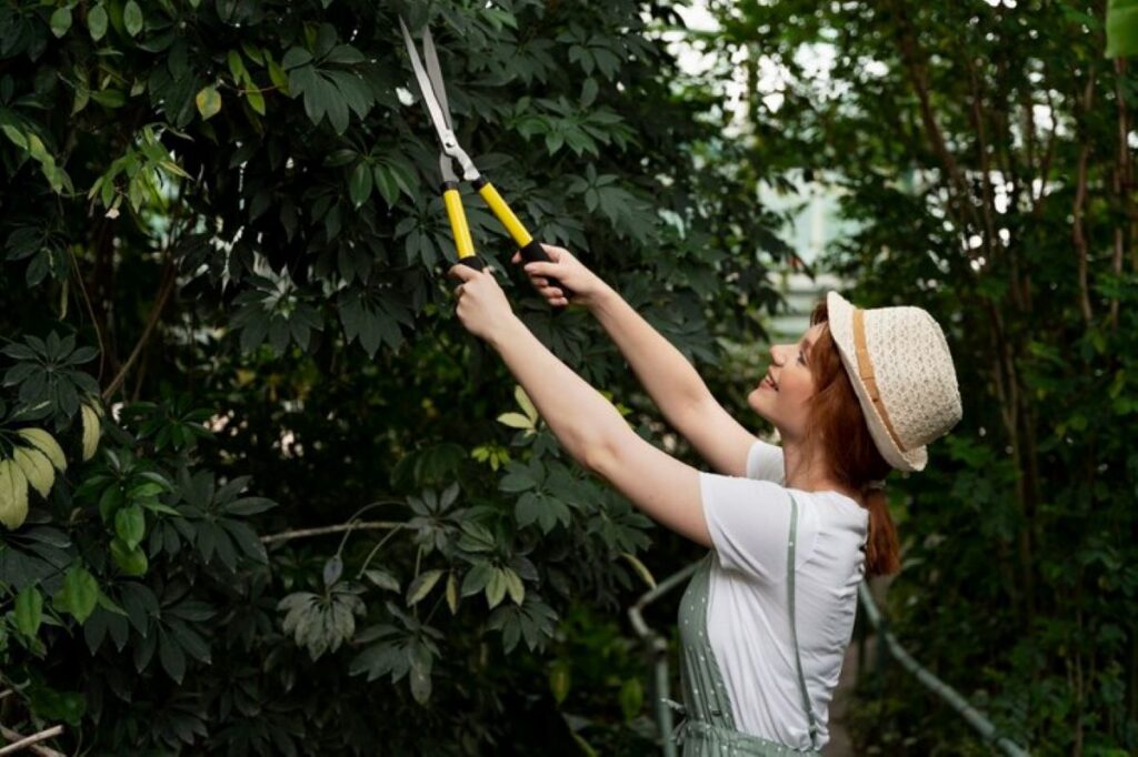 tree pruning service