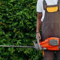 Hedge Maintenance Tips from Sydney’s Top Arborists