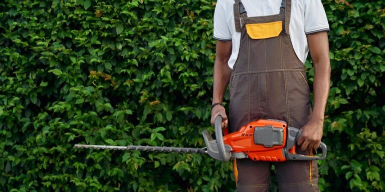 hedge maintenance