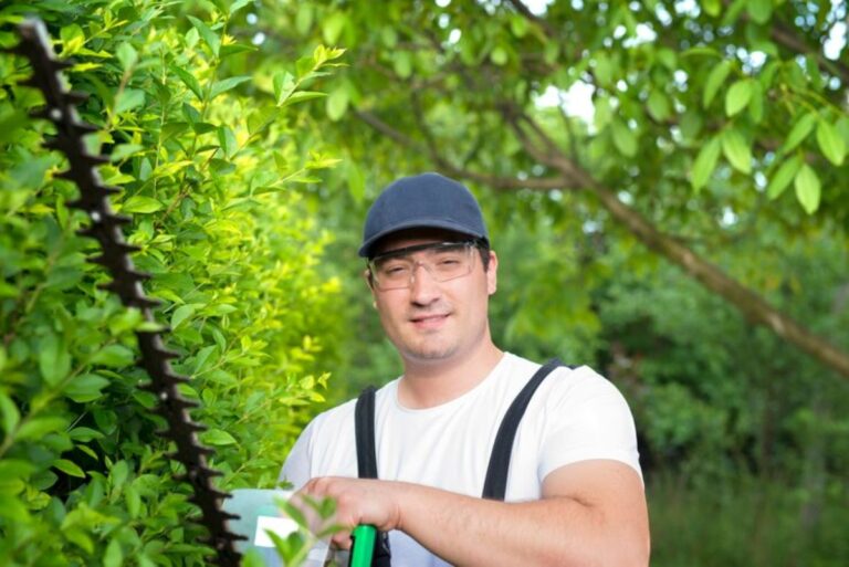 arborist Gladesville