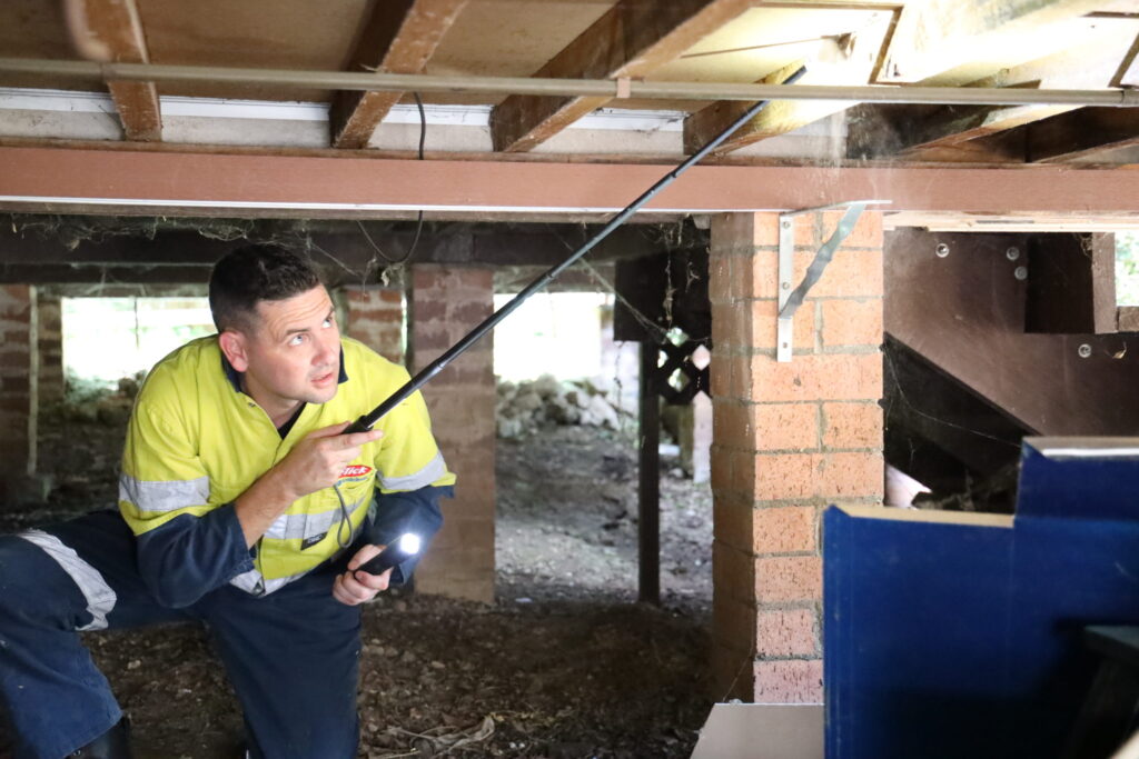 How Often Should You Book a Termite Inspection in Sydney Homes?