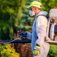 Pest Treatment Sydney: What’s Included in a Standard Service?